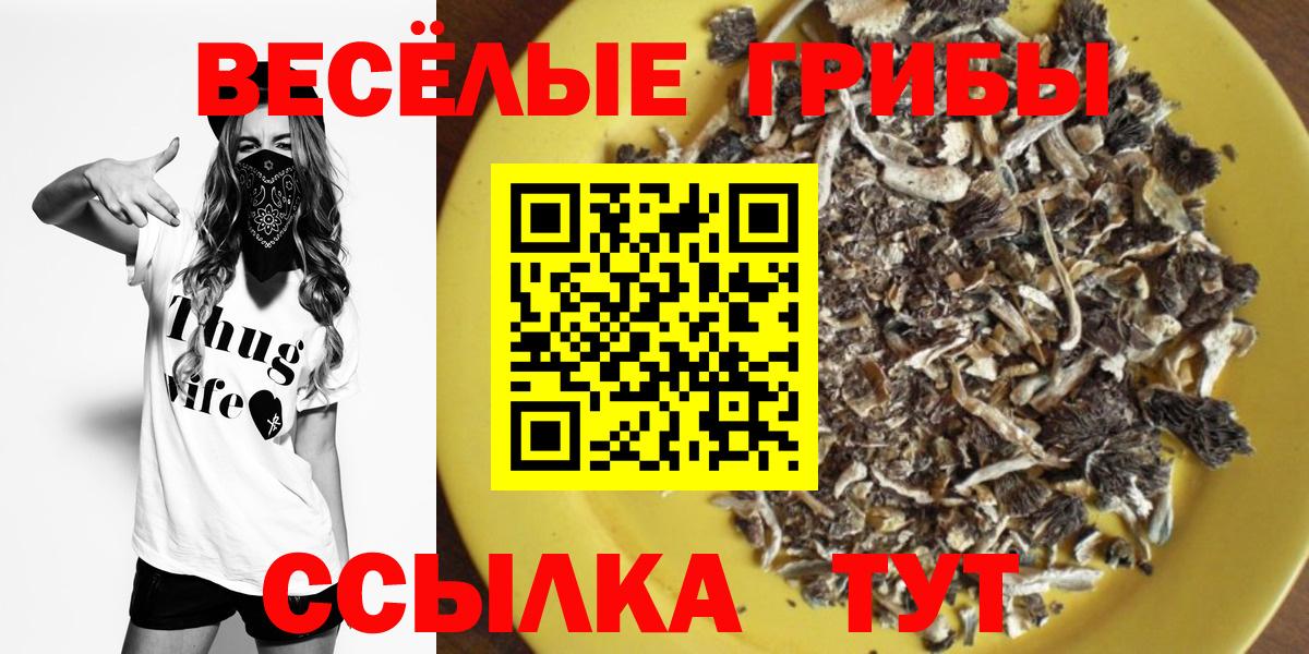 Псилоцибиновые грибы прущие грибы  Псилоцибиновые грибы Cubensis  дарнет шоп  Мариинск  Вход с VPN 